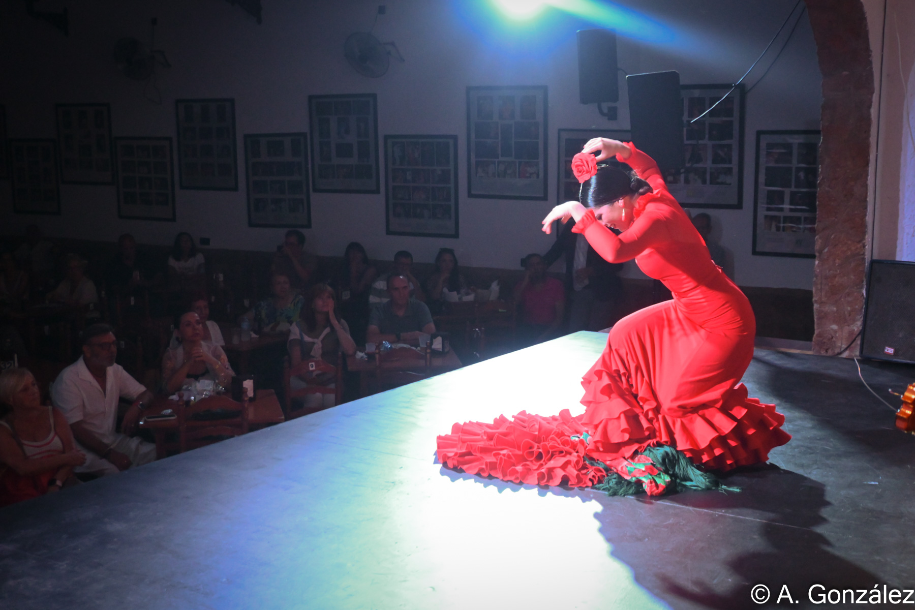 DSC_7894.jpg