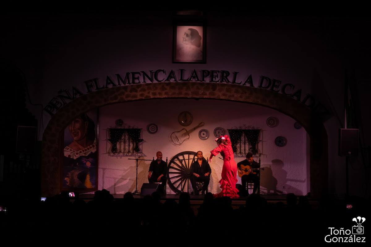 DSC_4085.jpg DSC_4085.jpg