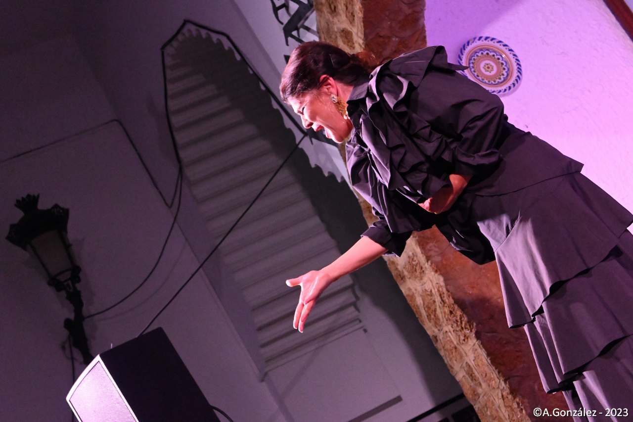 DSC_0341.jpg DSC_0341.jpg