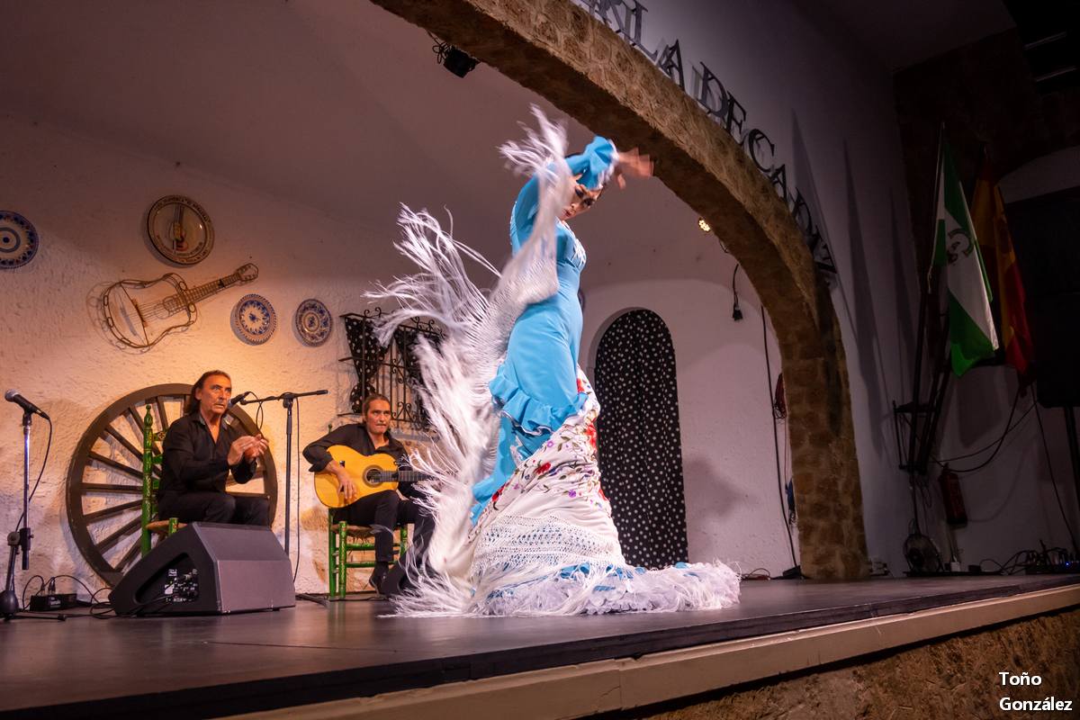 DSC_3749.jpg DSC_3749.jpg