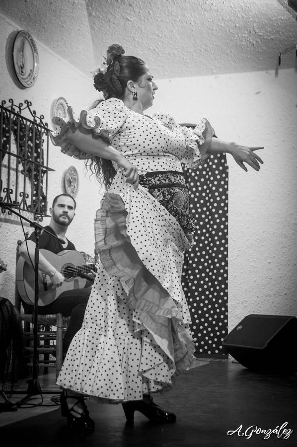 Peña Flamenca LA PERLA DE CÁDIZ, el flamenco en Vivo y en Directo Peña Flamenca LA PERLA DE CÁDIZ, el flamenco en Vivo y en Directo