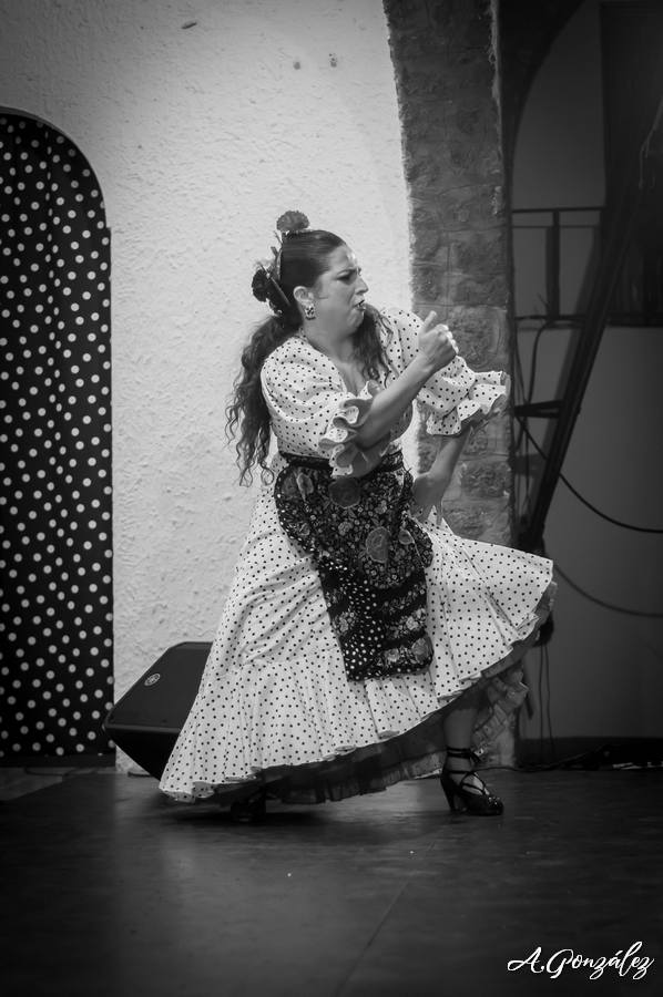 Peña Flamenca LA PERLA DE CÁDIZ, el flamenco en Vivo y en Directo Peña Flamenca LA PERLA DE CÁDIZ, el flamenco en Vivo y en Directo