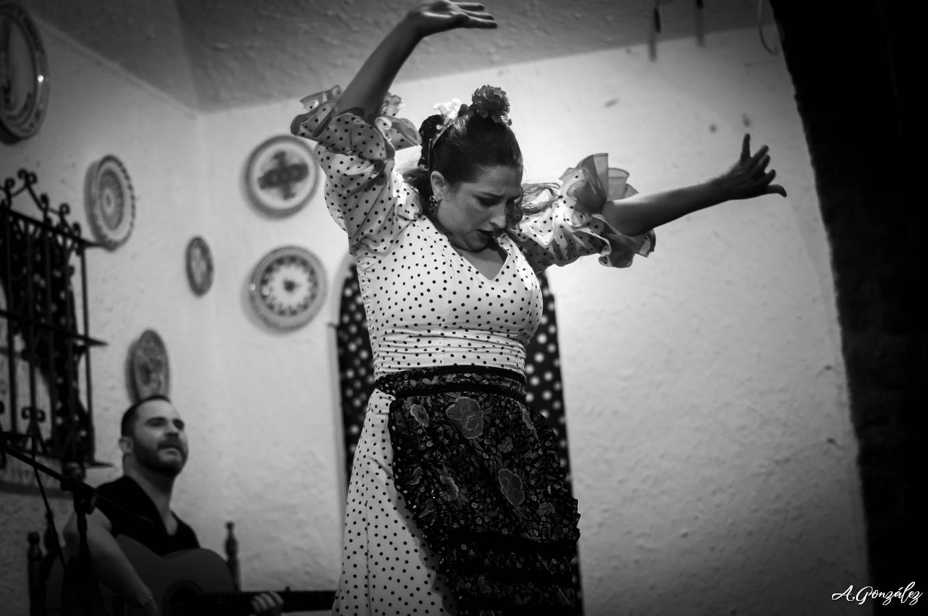 Peña Flamenca LA PERLA DE CÁDIZ, el flamenco en Vivo y en Directo Peña Flamenca LA PERLA DE CÁDIZ, el flamenco en Vivo y en Directo